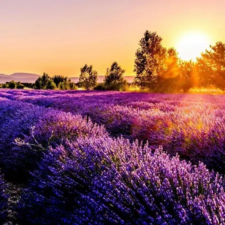 Luxury Coastal Dreams * Свети-Влас